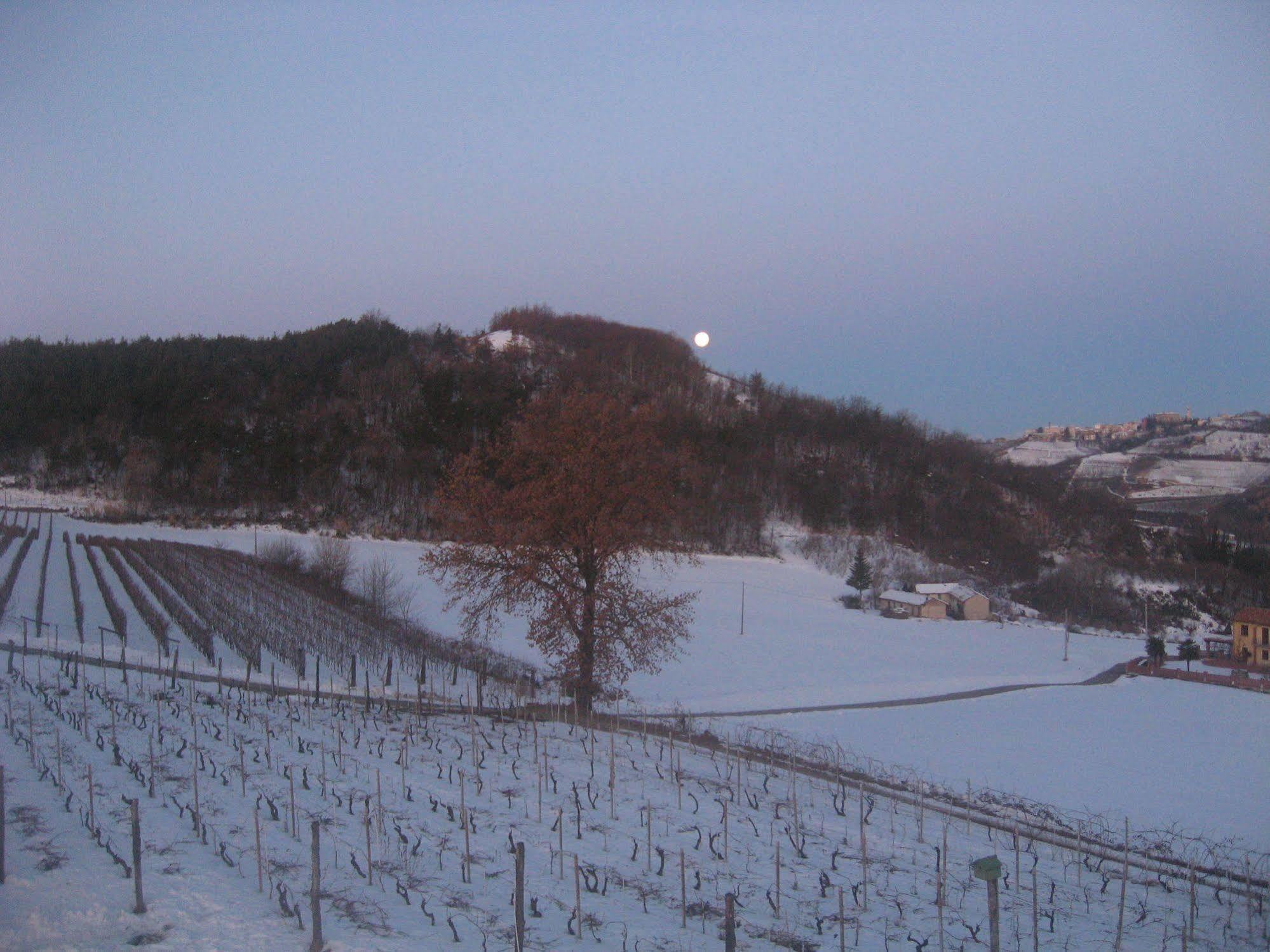 Agriturismo Cascina Serra Cossano Belbo Exterior photo